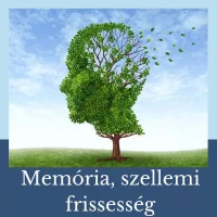 Memória, szellemi frissesség