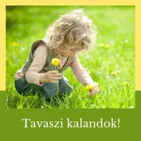 Tavaszi kalandok!