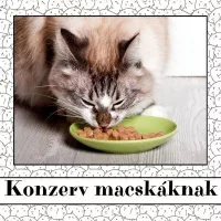 Konzerv macskáknak