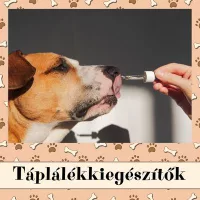Táplálékkiegészítők