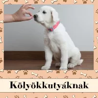 Kölyökkutyáknak