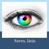 Szem, látás
