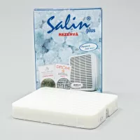 Salin