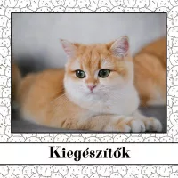 kiegészítők