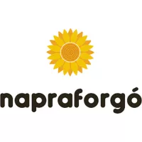 Napraforgó kiadó